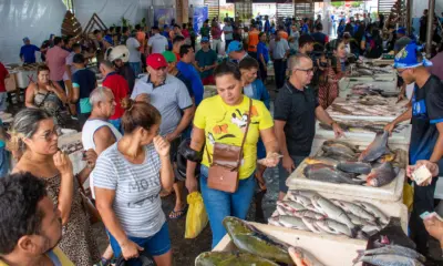 Cruzeiro do Sul realizará Feira do Peixe com expectativa de vendas de sete toneladas de pescado