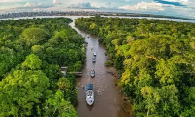 AC, AM e RO podem receber até R$ 46 milhões do “Restaura Amazônia”