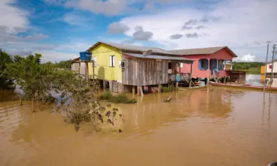 Com chuva de 50 milímetros, Rio Juruá marca 13,45 metros neste domingo