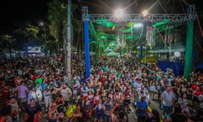 Desfile de blocos e show nacional de Gilmelândia encerram Carnaval da Família