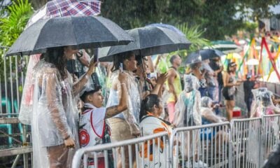 Mesmo com chuva, torcidas lotam desfiles carnavalescos; acompanhe ao vivo