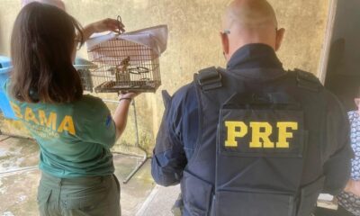 Criador de aves é detido por crime ambiental no interior do Acre