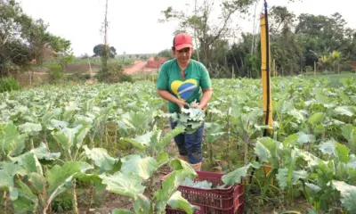 Acre faz chamada pública para aquisição de alimentos da agricultura familiar