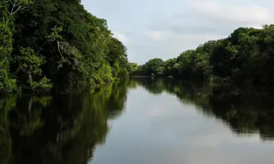 Quatro extrativistas estão desaparecidos em reserva no Sul do Amapá