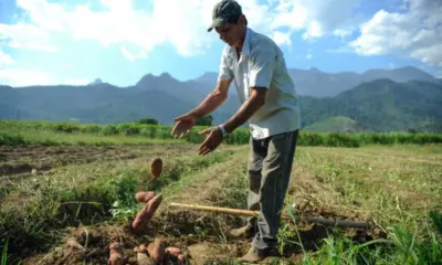 Governo vai beneficiar quase 500 famílias com novos assentamentos no Tocantins