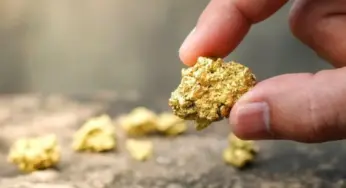 Amazonas exportou R$ 1,7 bilhão em ouro para a Alemanha nos últimos três anos