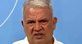 Enquanto seu lobo não vem