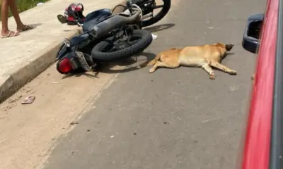 Acidente envolvendo cachorro deixa homem ferido em Cruzeiro do Sul