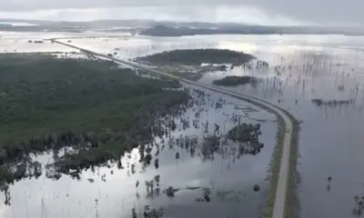 Rio Madeira, em Rondônia, ultrapassa 16 metros e águas se aproximam da BR-364