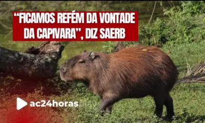 Enoque explica caso da morte de capivara em Estação de Tratamento de Água