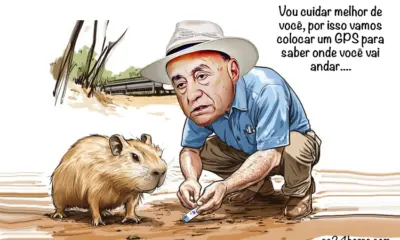 Cuidando da capivara