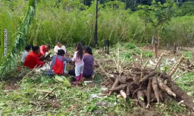 Sem apoio à produção, Coração da Floresta prioriza estoque