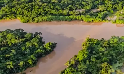 Bacia do Rio Acre tem normalidade em cinco cidades; previsão é de mais chuvas 