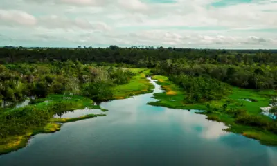 Área de proteção terá trilha ecológica e turismo de base comunitária