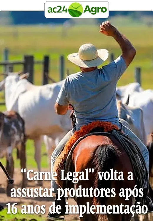 Carne Legal volta a assustar produtores após 16 anos de implementação