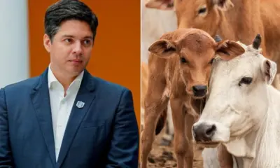 Pauta Dinâmica de ICMS para Venda de Bezerros no Acre: Equilíbrio de Preços