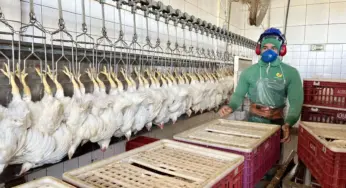 Suspensão chinesa da compra de carne de frango não afeta o Acre