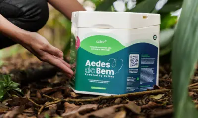 Prefeitura instaura processo administrativo para apurar irregularidades na entrega do Aedes do Bem