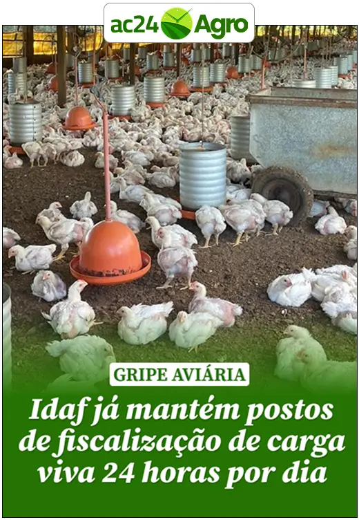 Idaf já mantém postos de fiscalização de carga viva 24 horas por dia