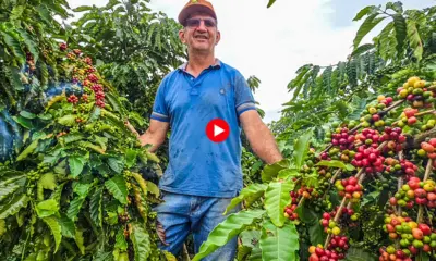 No município de Acrelândia, produtor rural une café e saber para inspirar o agronegócio