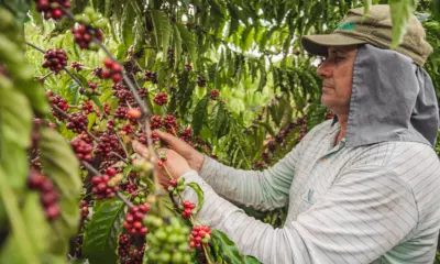 Cadeia Produtiva do café é apresentada à comitiva do Fórum de Governadores