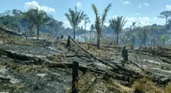 Tarauacá acumula mais de R$ 20 milhões em multas ambientais aplicadas pelo Ibama