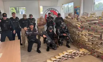 Cão farejador Jay-Z ajuda na apreensão de quase meia tonelada de drogas em arquipélago