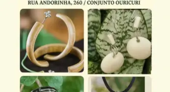 Casa de Cultura Ouricuri recebe exposição de biojoias de Cesar Farias