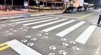 Macapá inaugura faixa de pedestres exclusiva para pets e seus tutores