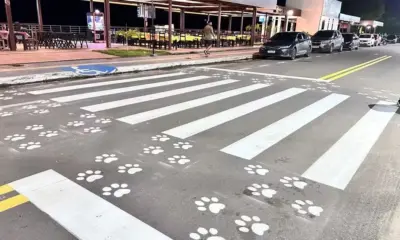 Macapá inaugura faixa de pedestres exclusiva para pets e seus tutores