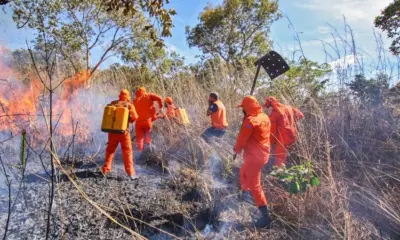 Ibama autoriza contratação de 188 profissionais para combater incêndios em Roraima