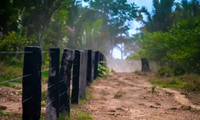 STF é acionado contra lei de Rondônia que anistia crimes ambientais