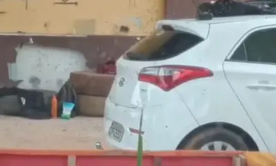 Ataque de abelhas interrompe partida de airsoft e deixa feridos