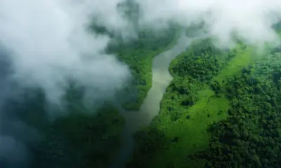 MP ajuíza ação para transparência de dados ambientais no Acre