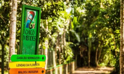 Vídeo do Parque Chico Mendes é selecionado para Mostra Cine Tela Verde