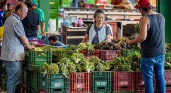 Anvisa inicia coleta de alimentos no Acre para monitoramento de resíduos de agrotóxicos