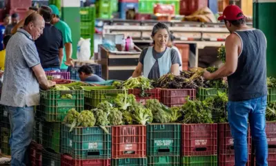 Anvisa inicia coleta de alimentos no Acre para monitoramento de resíduos de agrotóxicos