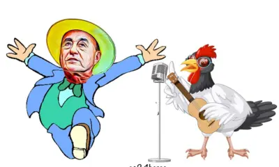 Canta galo!