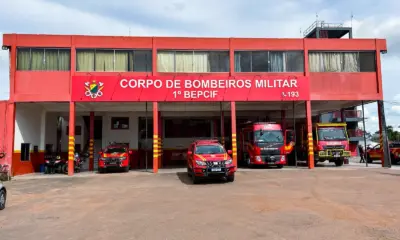Índice de resgate de animais silvestres cresce 8% no Acre