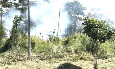 Queimada assusta moradores do Loteamento Novo Horizonte