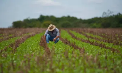 Acre responde por 18% dos contratos de microcrédito do FNO na Região Norte