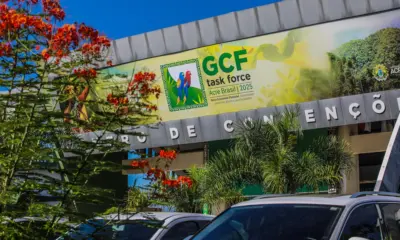 Sessão de Trabalho articula estratégias para a Nova Economia Florestal no GCF