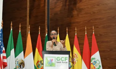 Marina reforça compromisso com a Amazônia: “combater desmatamento nem sempre é compreendido”