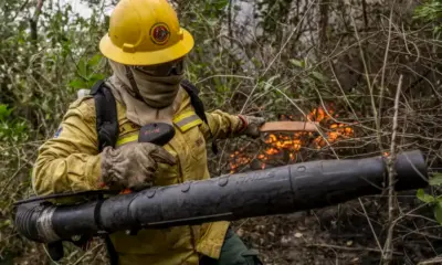 Estado convoca aprovados da seleção para brigadistas para curso de formação