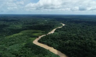Chuvas reduzem quase 100% os focos de queimadas no Acre em 2025
