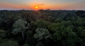Começa hoje em Brasília a 5ª Conferência Nacional do Meio Ambiente