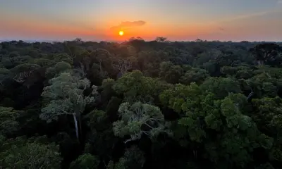 Começa hoje em Brasília a 5ª Conferência Nacional do Meio Ambiente