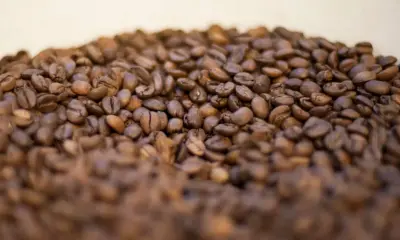 Governo reprova três marcas de café por serem impróprias para consumo
