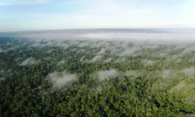 Rio Branco poderá licenciar atividades ambientais próximo à área urbana