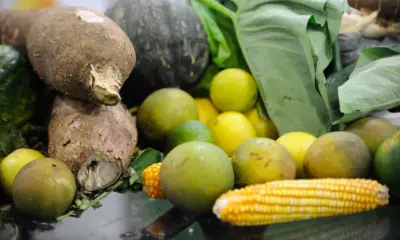 Preço da cesta básica cai em 15 de 17 capitais pesquisadas